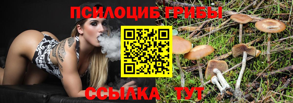 магазин    Галлюциногенные грибы прущие грибы  Вход с VPN  Протвино 